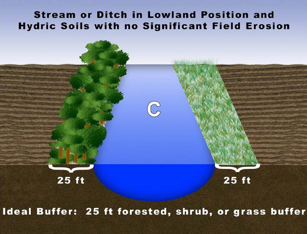 Figure C. Stream or ditch in lowland position and hydric soils w